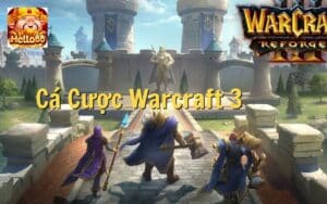 Cá Cược Warcraft 3 | Kinh nghiệm cá cược Warcraft thắng 99% 