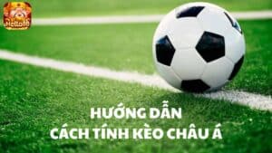 Biết cách tính kèo hay sẽ giúp người chơi dễ giành chiến thắng