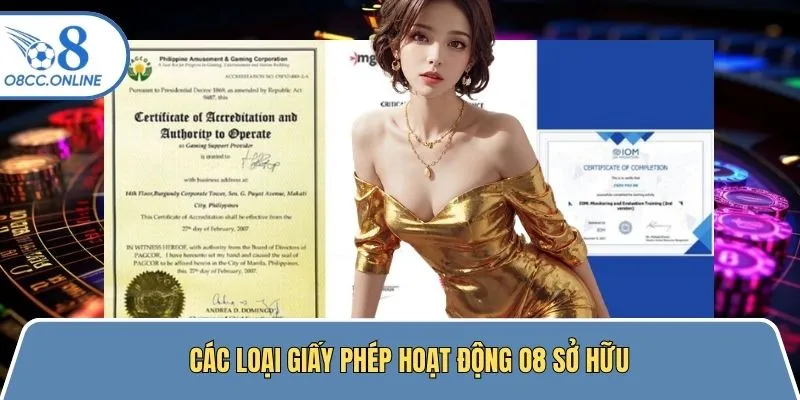 Các loại giấy phép hoạt động mà thiên đường nhận về tay