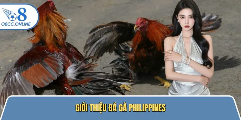Sơ lược về loại hình giải trí đá gà tại Philippines
